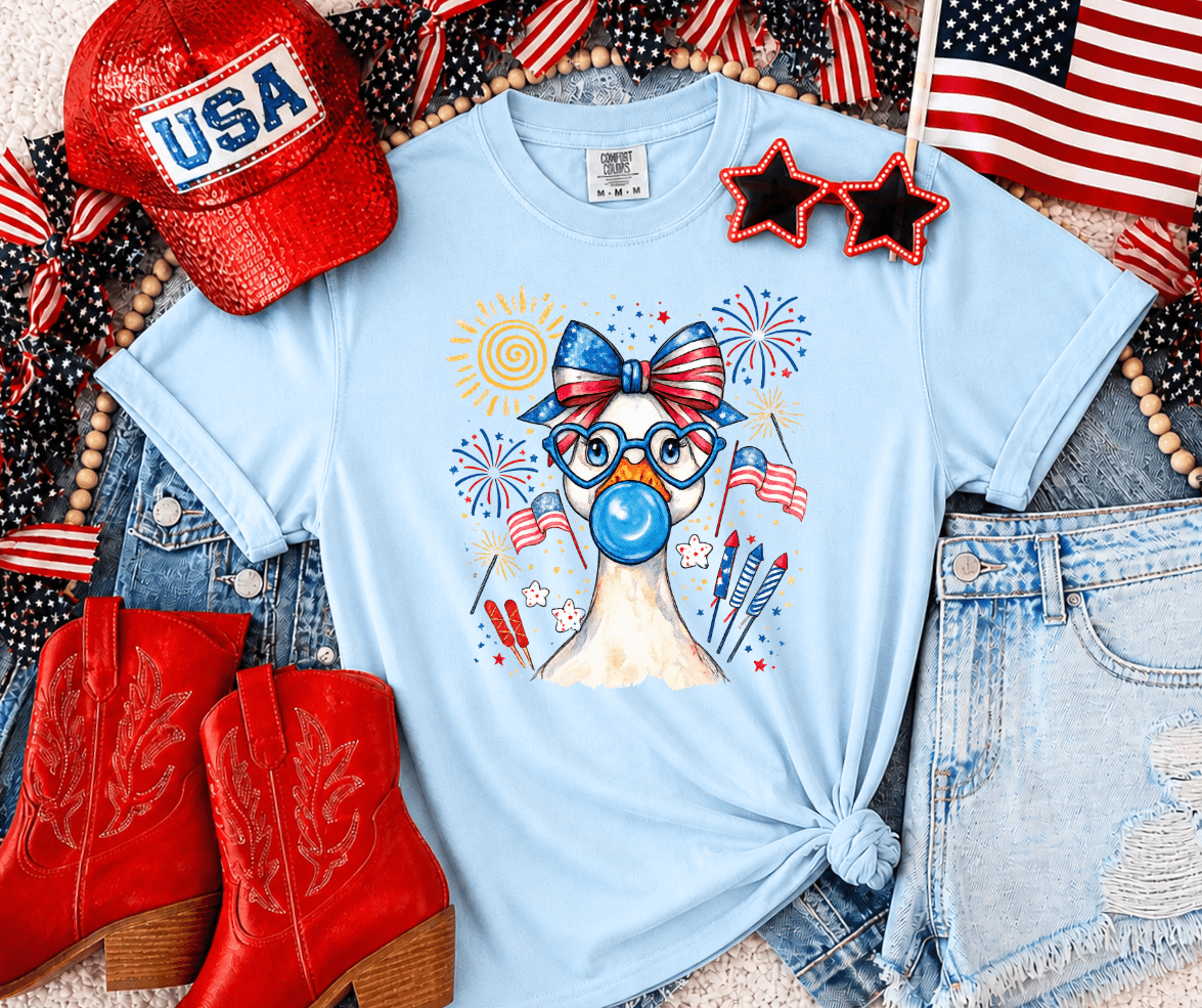 Patriotic Goose Bubble Light Blue Tee